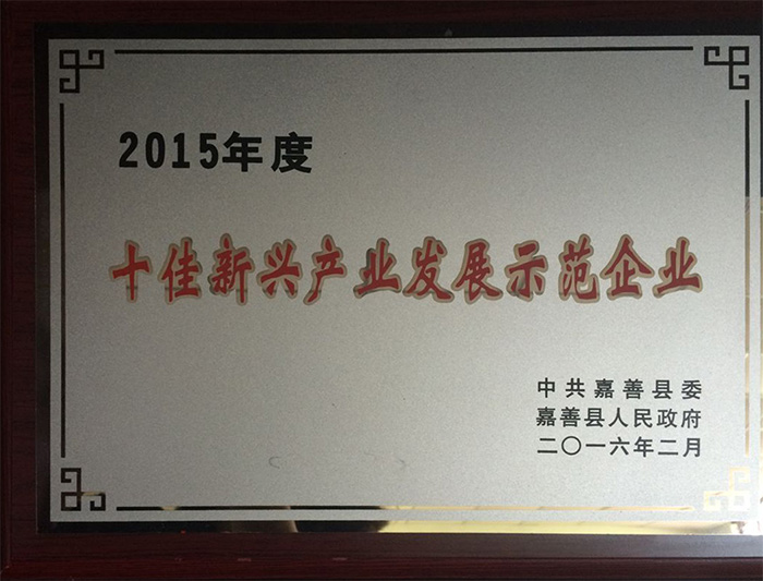 2015年度十佳新兴产业发展示范企业
